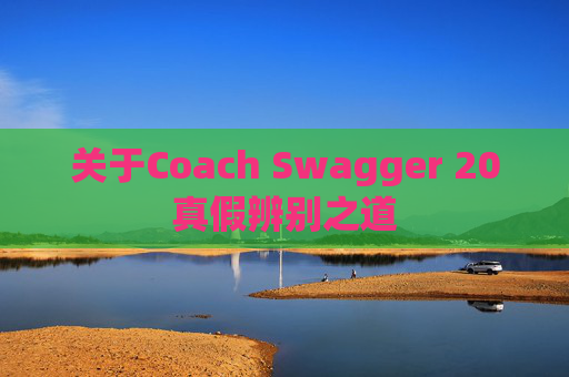 关于Coach Swagger 20真假辨别之道 关于Coach Swagger 20真假辨别之道